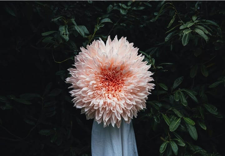 a large pink dahlia covers the torso and head of the maker holding the botanical sculpture. With fragile tendrils, it looks very lifelike except for the perspective to the person holding it.